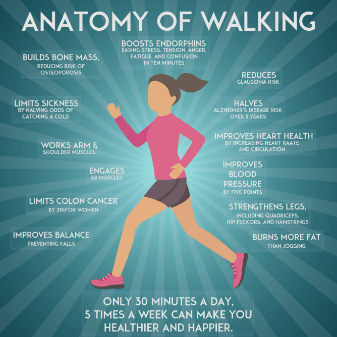 mbsr-walking-meditation